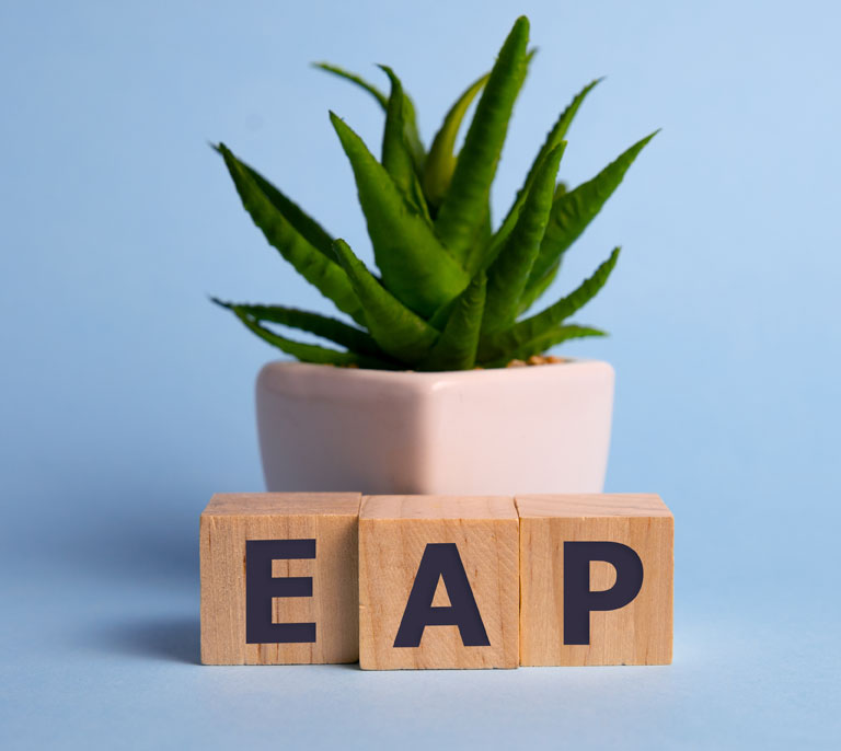 plante en pot avec les lettres EAP